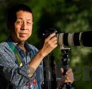 下载大象传媒客户端-探索大象传媒客户端，数字时代的娱乐新选择